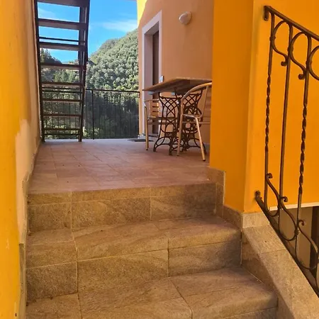 Ca De Min Haut De A