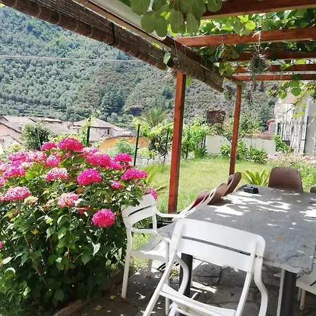 Ca De Min Haut De A Apartment *